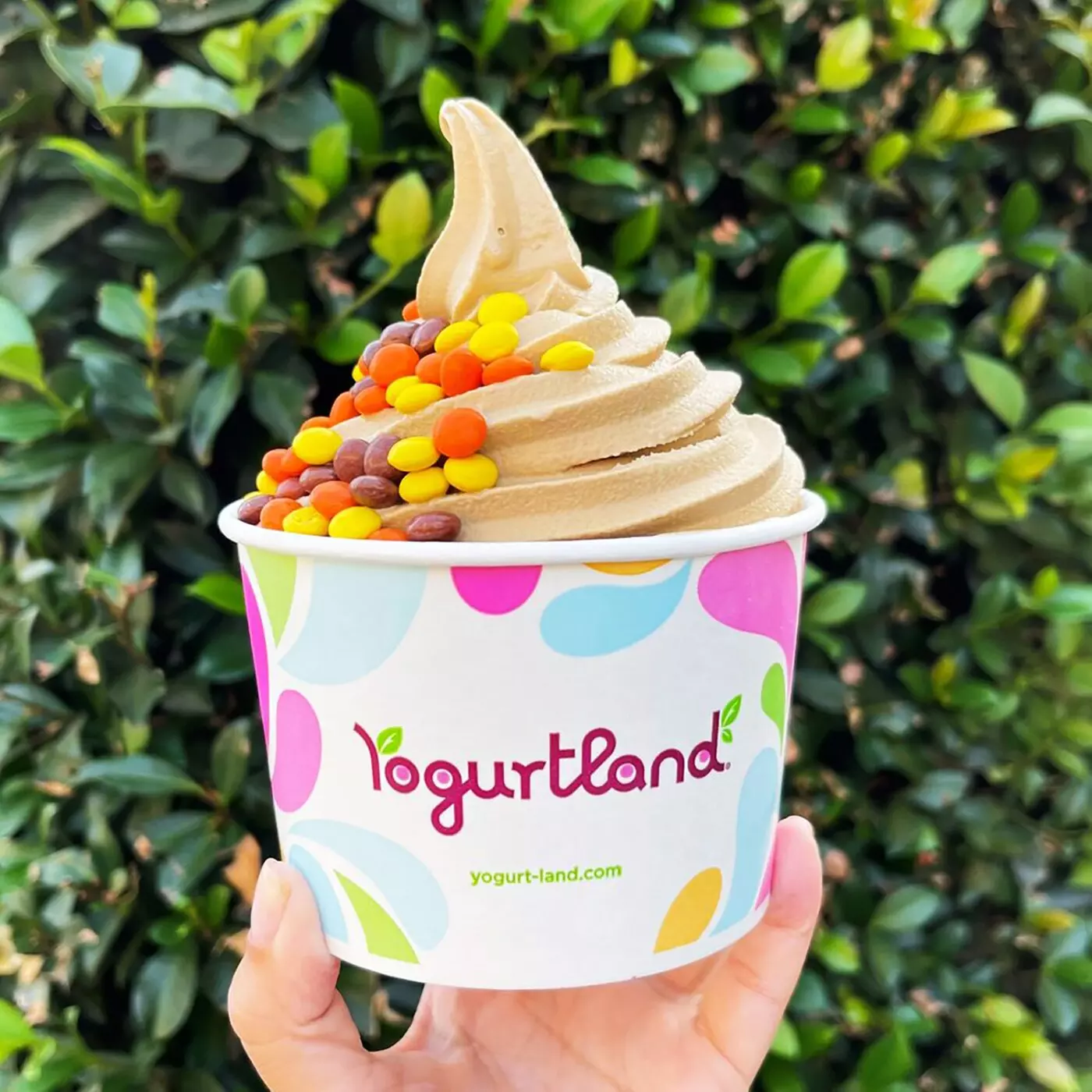$10 For $20 Worth Of Frozen Yogurt