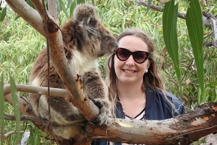 One Day Port Lincoln Tour - Tasting Eyre