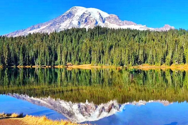 Small Group Mt Rainier National Park Day Tour from Seattle 2CanGo