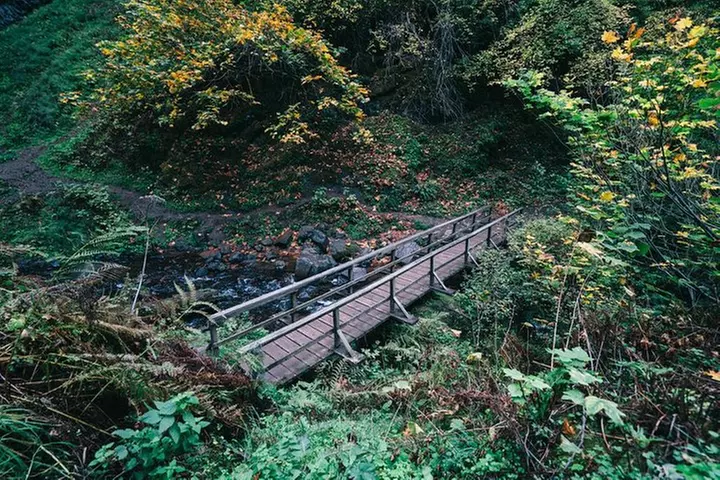 Multnomah Falls and Columbia River Gorge Waterfalls Tour Morning