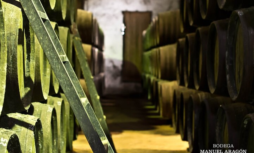 Image 3: Desde Cádiz, visita a la bodega Chiclana de la Frontera con almuerzo
