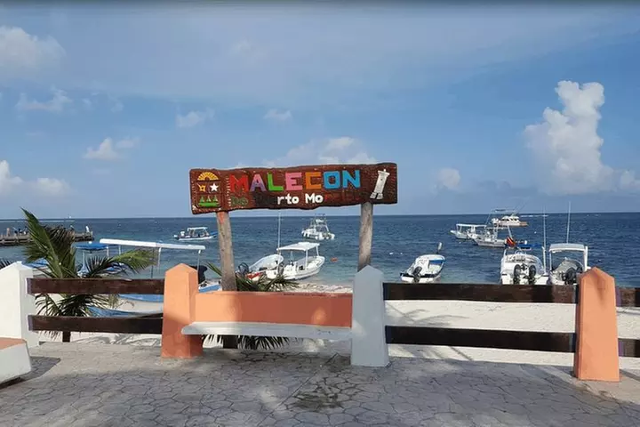 Snorkel in the second largest reef in the world Colorful tour in Pu...