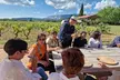 Rosé & Côtes DE Provence Visite des vins au départ de Marseille - Image 2