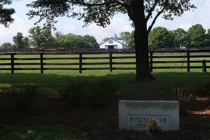 Half-Day Thoroughbred Horse Farm Tour in Kentucky