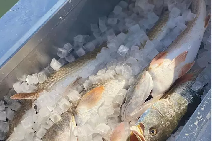 Private Bay Fishing South Padre Island