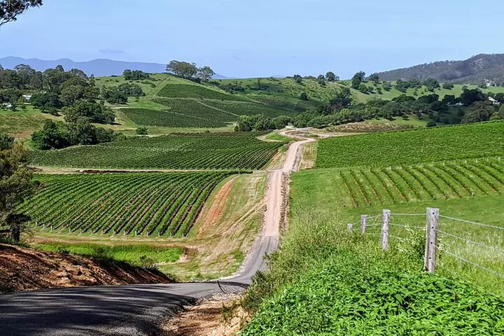 Hunter Valley wine and cheese starting from the Hunter region - Primary Image