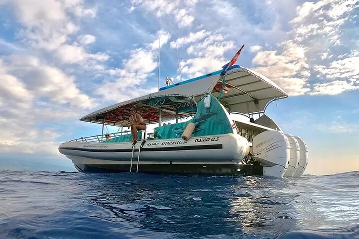 Manta Ray Snorkel Experience