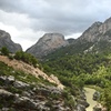 Image 12: Desfiladero del Caminito del Rey & El Chorro : Tour Privado desde M...