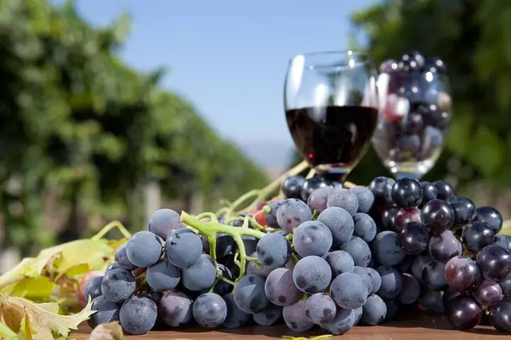 Half-Day Wine Tastings in the North Georgia Mountains