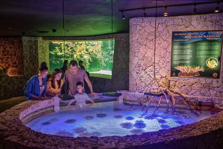 Xcaret Park Entry Tickets with Cultural Night Show Included