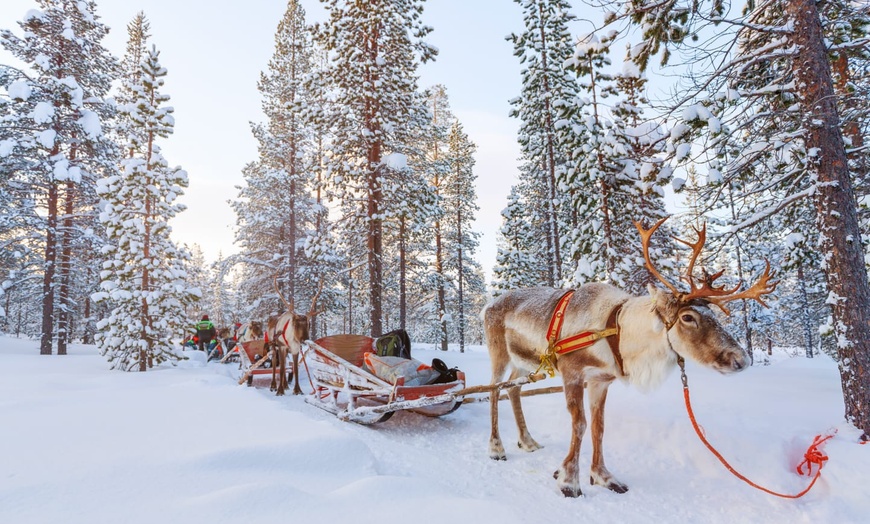 Image 7: ✈ LAPONIE | Rovaniemi - Rêves Arctiques : Expérience Santa et Igloo...