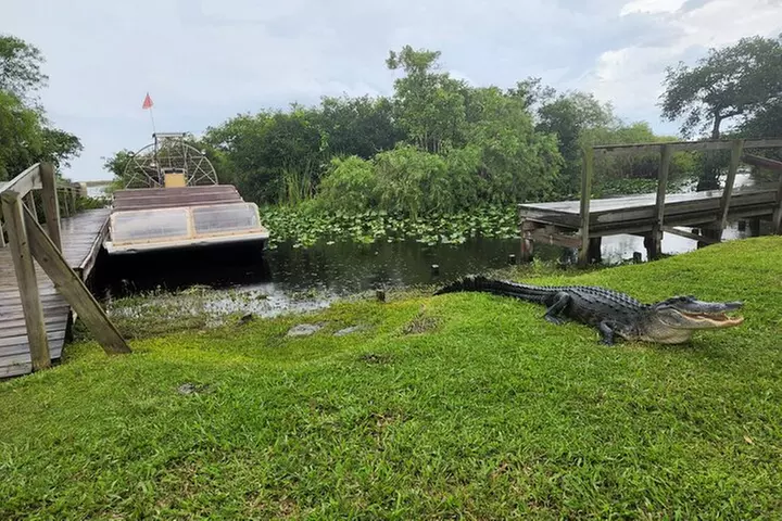 Everglades National Park Biologist Led Adventure: Cruise, Hike + Ai...