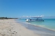 Dolphin /Shelling/Snorkeling tours Private Charters - Second Medium