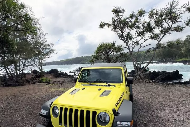 Half way to Hana Maui Open Air Jeep Private Tour