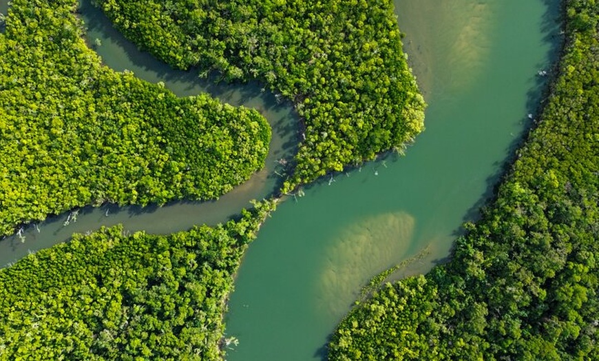 Image 6: Private Guided Tour in Port Douglas and Surrounds