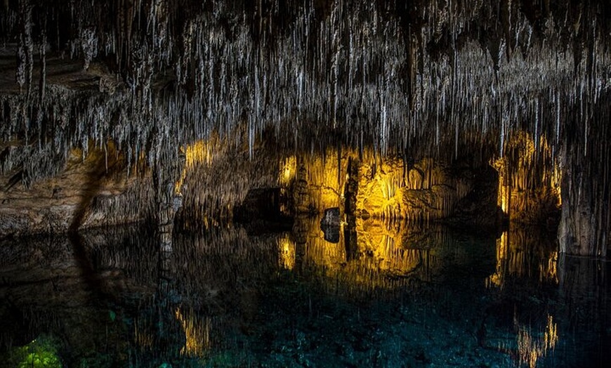 Image 3: Excursión a las Cuevas del Drach y traslado de regreso desde Cala D...