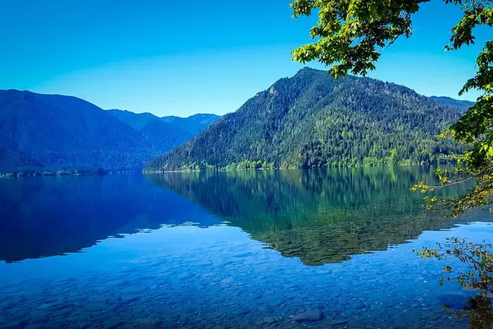 Olympic National Park Day Tour from Seattle