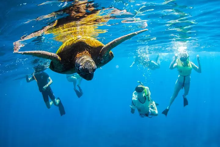 Kauai's Ultimate South Island Zodiac Boat Snorkel Adventure - Primary Image
