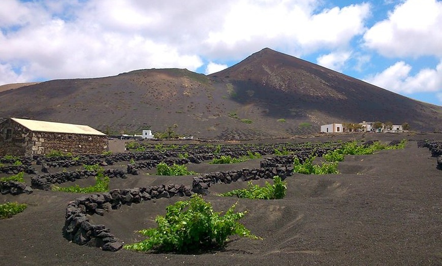 Image 2: Recorrido a pie de medio día para grupos pequeños por los viñedos d...