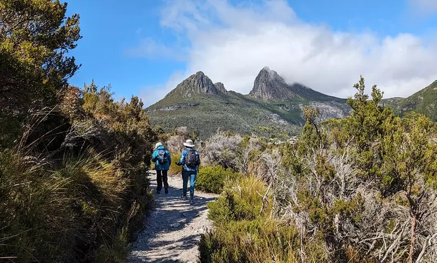 Image 15: 7-Day Super Value Tour of Tasmania: Explore Tasmania's West and Eas...