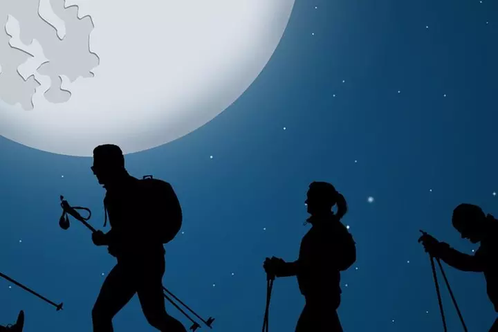 Tahoe National Forest Moonlight Snowshoe Tour Under a Starry Sky
