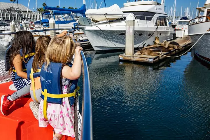 Glass Bottom Boat Ride in Redondo Beach