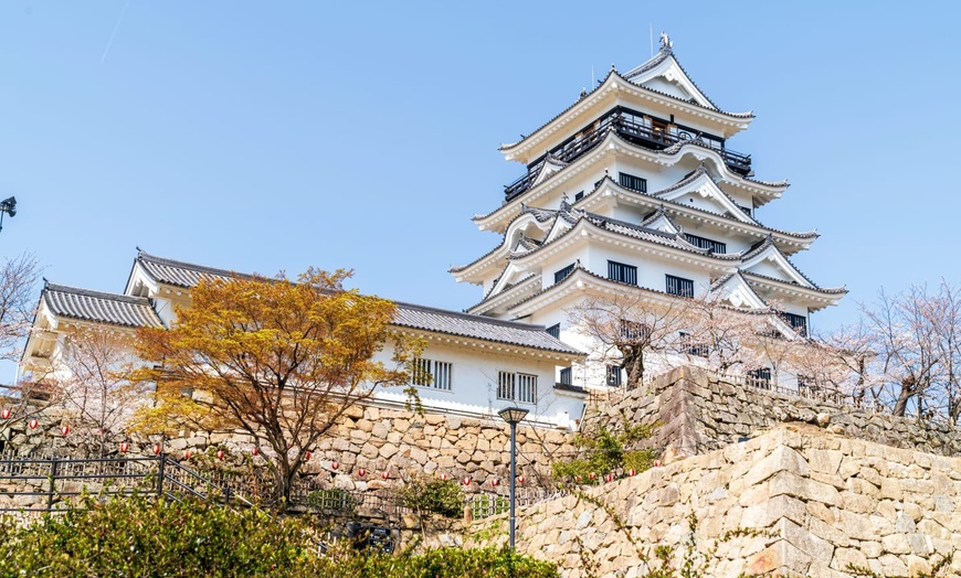 Image 18: ✈ JAPON | De Tokyo à Osaka - Authentique Japon 3* - Circuit