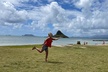 Next Level Oahu Circle Island Tour Snorkel w/Turtles and Byodo-In - Second Medium