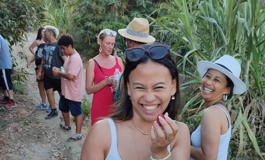 Image 3: Tour Guiado Explora nuestra Finca de Café y Frutas Tropicales