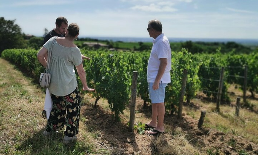 Image 6: Beaujolais demi-journée