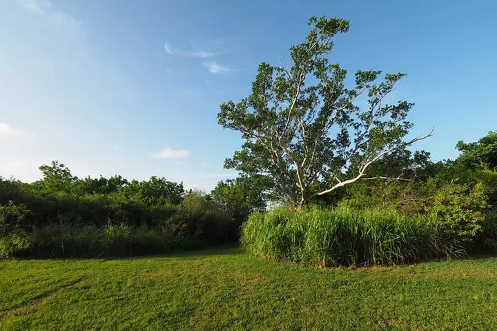 Everglades National Park: Self Guided Driving Audio Tour