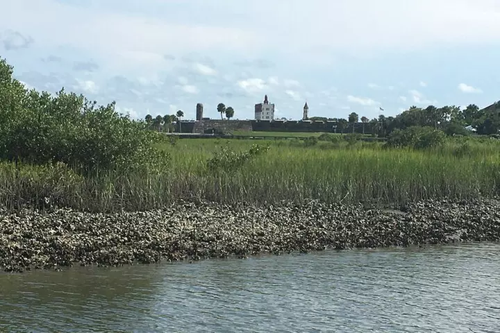 Adventure Boat Tours Dolphin Tails & History Cruise St Augustine