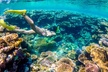 Sail & Snorkel Adventure with 1 Hr. Open Bar - Second Medium