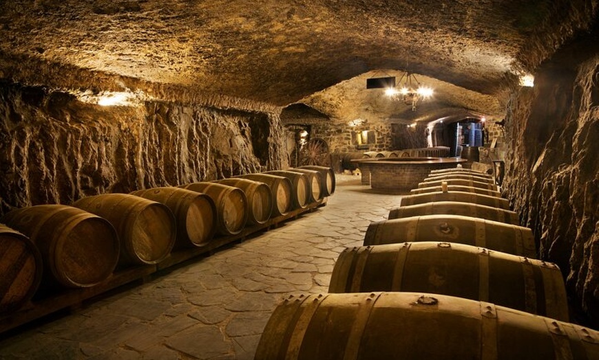 Image 19: Rioja Wine Tour : Bodega, Cata & Almuerzo desde San Sebastián