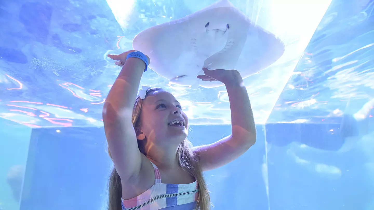 SeaQuest Aquarium Lynchburg - Good Through December 31, 2022 - Primary Image