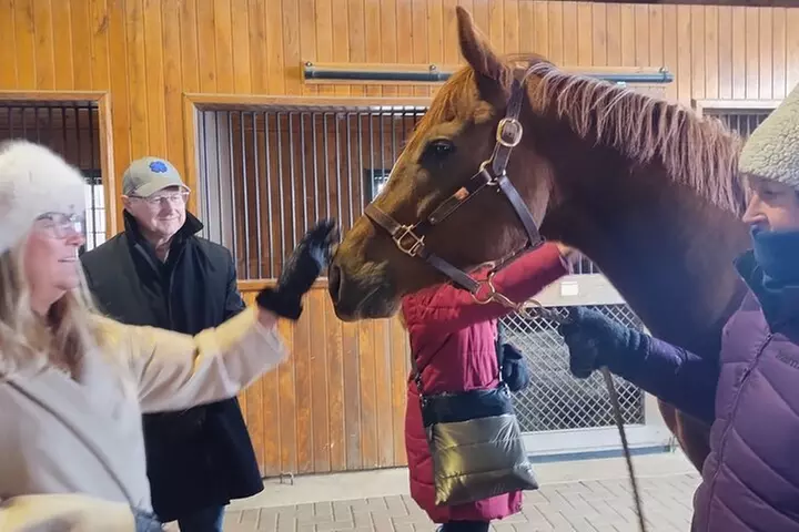 Half-Day Thoroughbred Horse Farm Tour in Kentucky
