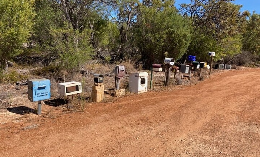Image 5: Pinnacles and Swan Valley Day Tour