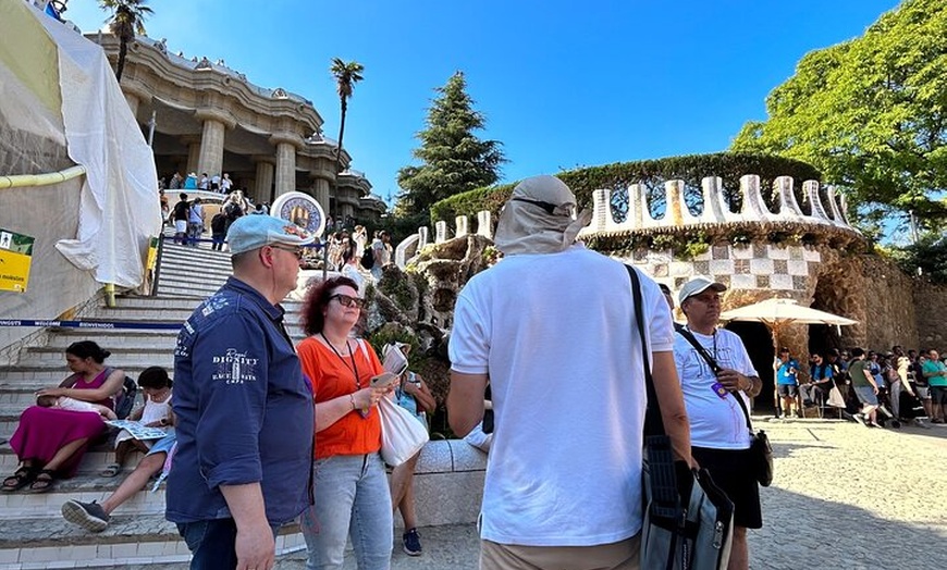 Image 7: Tour por la tarde del Park Güell