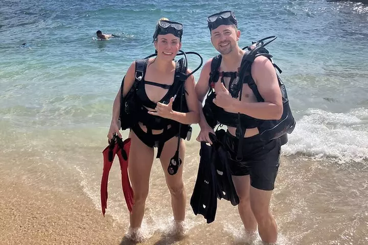 SCUBA Dive at Electric Beach with Photos -No Certification Needed