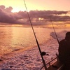 Image 3: Fishing Charter in Pelican Waters