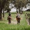 Image 1: Romantic Horse Trail Ride with Wine and Food in Adelaide Hills