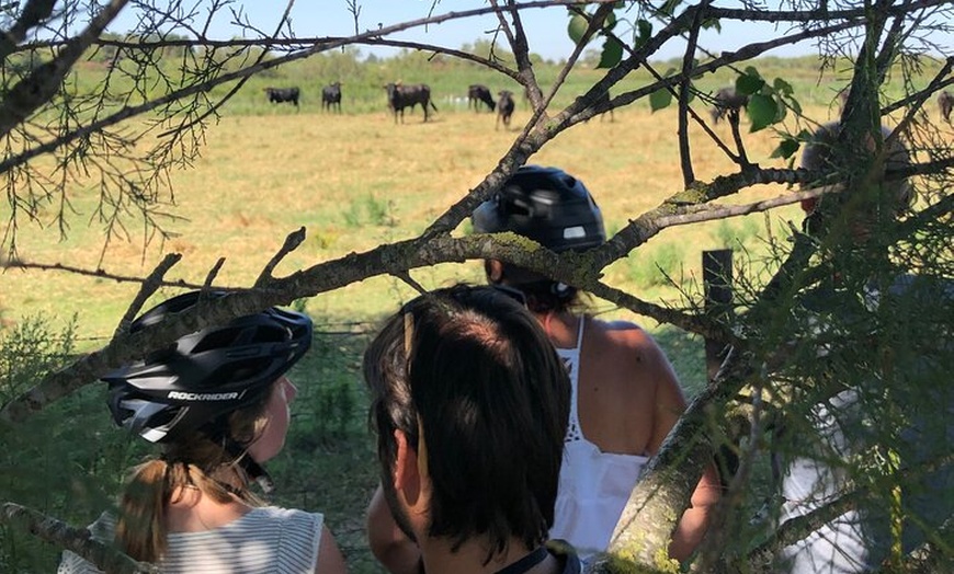 Image 7: Excursion en Vélo électrique en Camargue