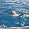 Image 10: Effortless Luxury Sailing Cruises