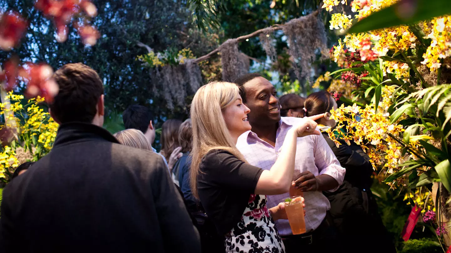 Orchid Evenings at New York Botanical Garden - Primary Image