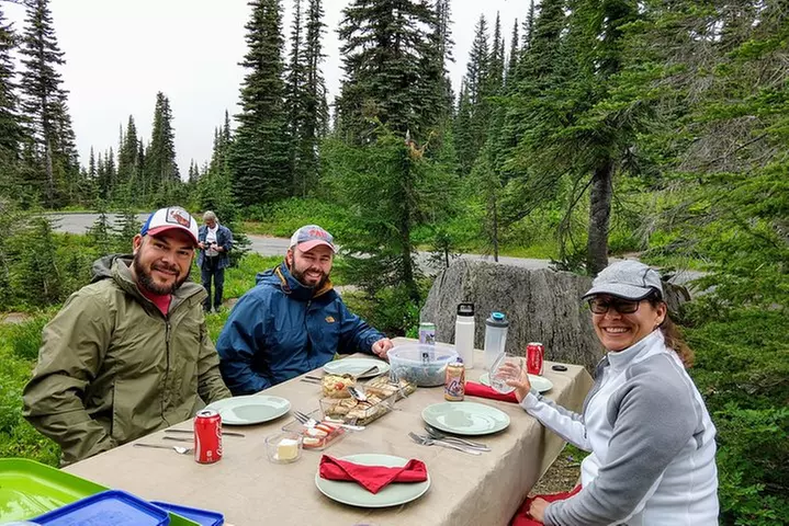 Mount Rainier National Park Luxury Small-Group Day Tour with Lunch - Primary Image