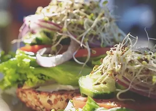 8% Cash Back at Norm's Kitchen & Bar - Primary Image