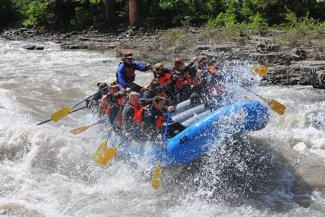 8-Mile Classic Whitewater Adventure - Primary Image