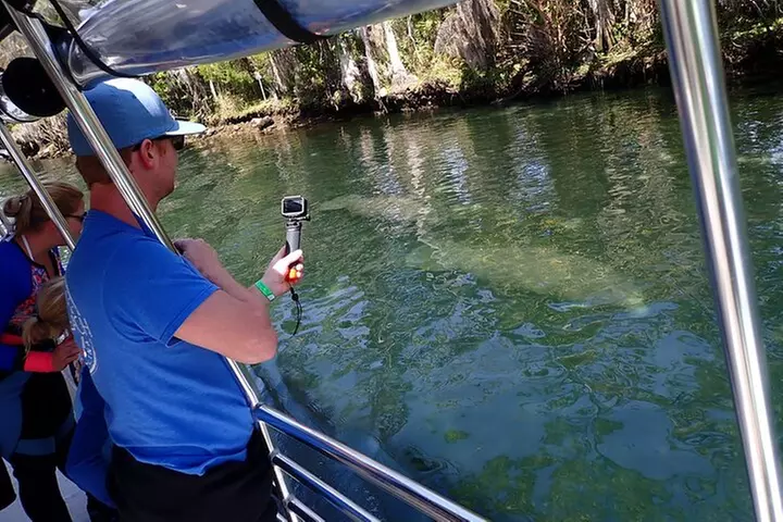 Crystal River Manatee Viewing Cruise - Primary Image