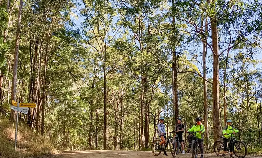 Image 10: Guided E Bike Tour - Unicorn Falls & National Park