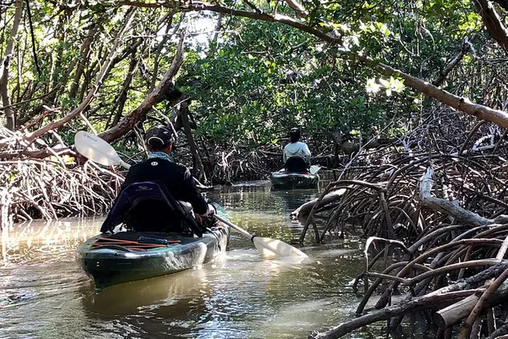 3 Hour Naples Kayak Rental with Single & Tandem Options - Primary Image